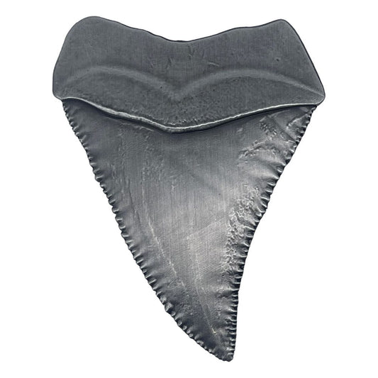 Jaws Medaille 50th Anniversary Shark Tooth Image 2