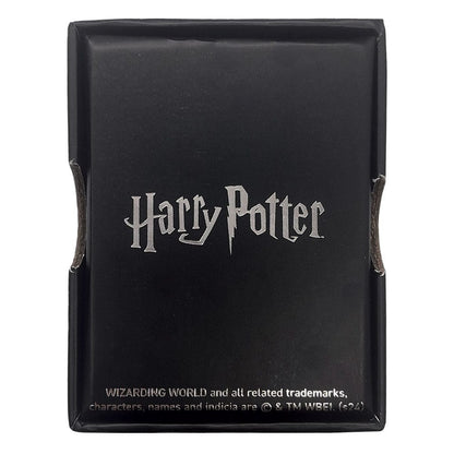 Harry Potter Halskette & Anhänger Flying Key Image 2