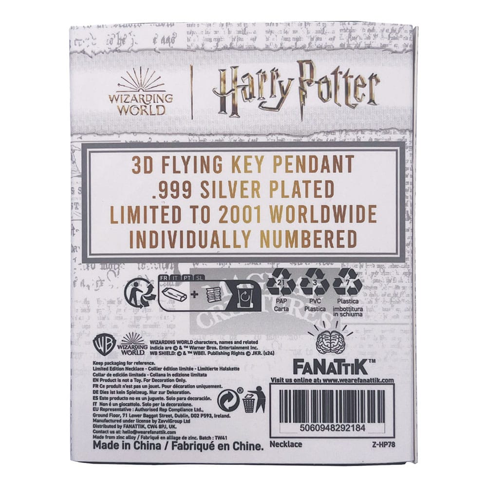 Harry Potter Halskette & Anhänger Flying Key Image 3