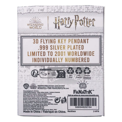 Harry Potter Halskette & Anhänger Flying Key Image 3