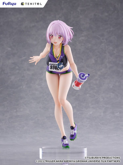 Gridman Universe Tenitol Tall PVC Figur Akane Shinjo Sportswear Ver. 28 cm Image 3