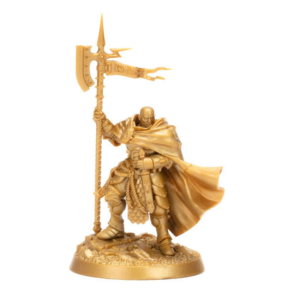 Warhammer Age of Sigmar Miniaturen Warhammer Heroes: Stormcast Eternals Display (8) Image 3