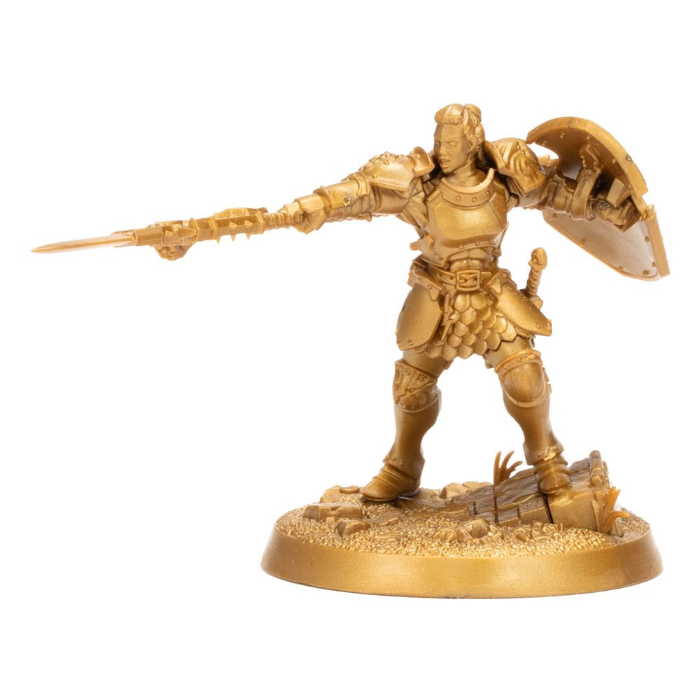 Warhammer Age of Sigmar Miniaturen Warhammer Heroes: Stormcast Eternals Display (8) Image 4