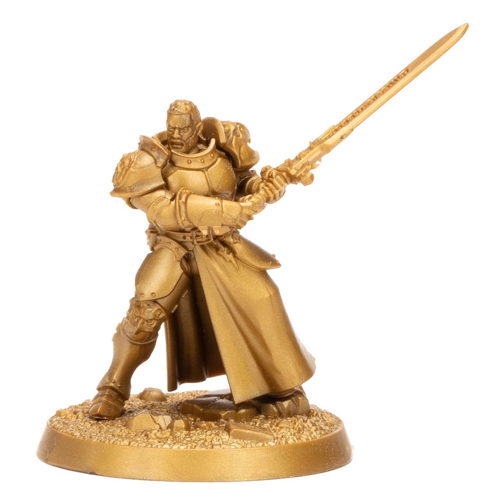 Warhammer Age of Sigmar Miniaturen Warhammer Heroes: Stormcast Eternals Display (8) Image 6