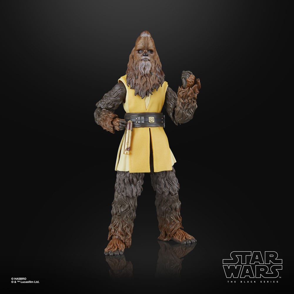 Star Wars: The Acolyte Black Series Actionfigur Jedi Master Kelnacca 15 cm Image 13