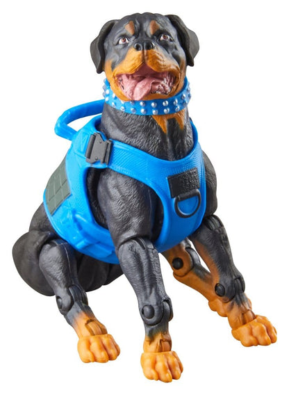G.I. Joe Classified Series Actionfiguren 3er-Pack #220 Mad Marauders: Footloose & Mutt & Junkyard 15 cm Image 8
