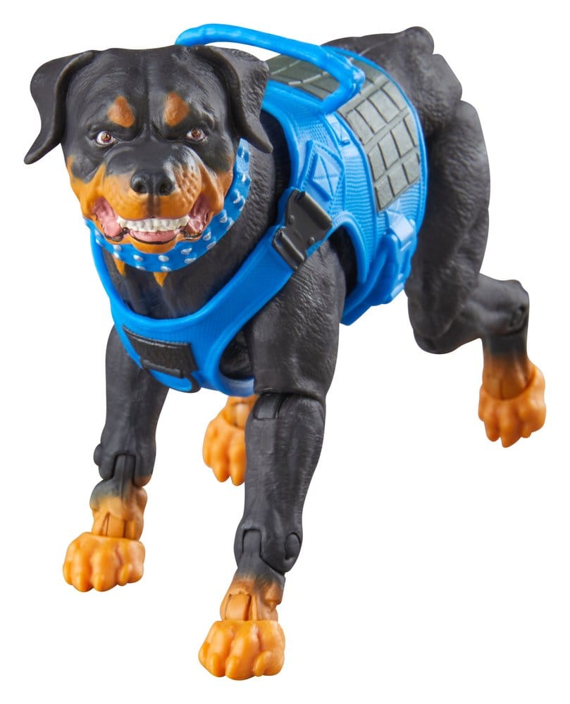 G.I. Joe Classified Series Actionfiguren 3er-Pack #220 Mad Marauders: Footloose & Mutt & Junkyard 15 cm Image 9