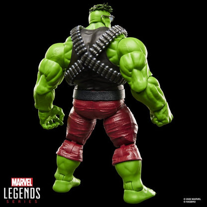The Incredible Hulk Marvel Legends Actionfigur Professor Hulk 15 cm Image 12