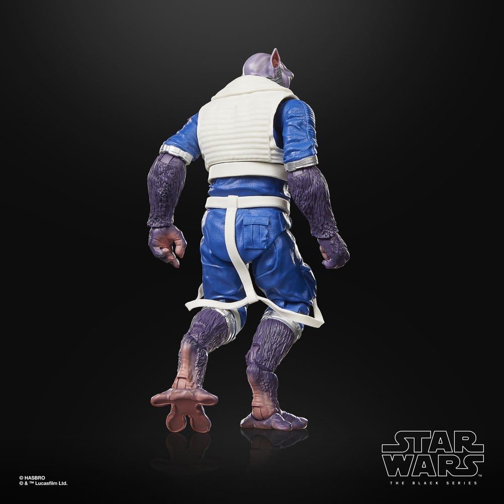 Star Wars: The Mandalorian & Grogu Black Series Actionfigur Garazeb “Zeb” Orrelios 15 cm Image 15
