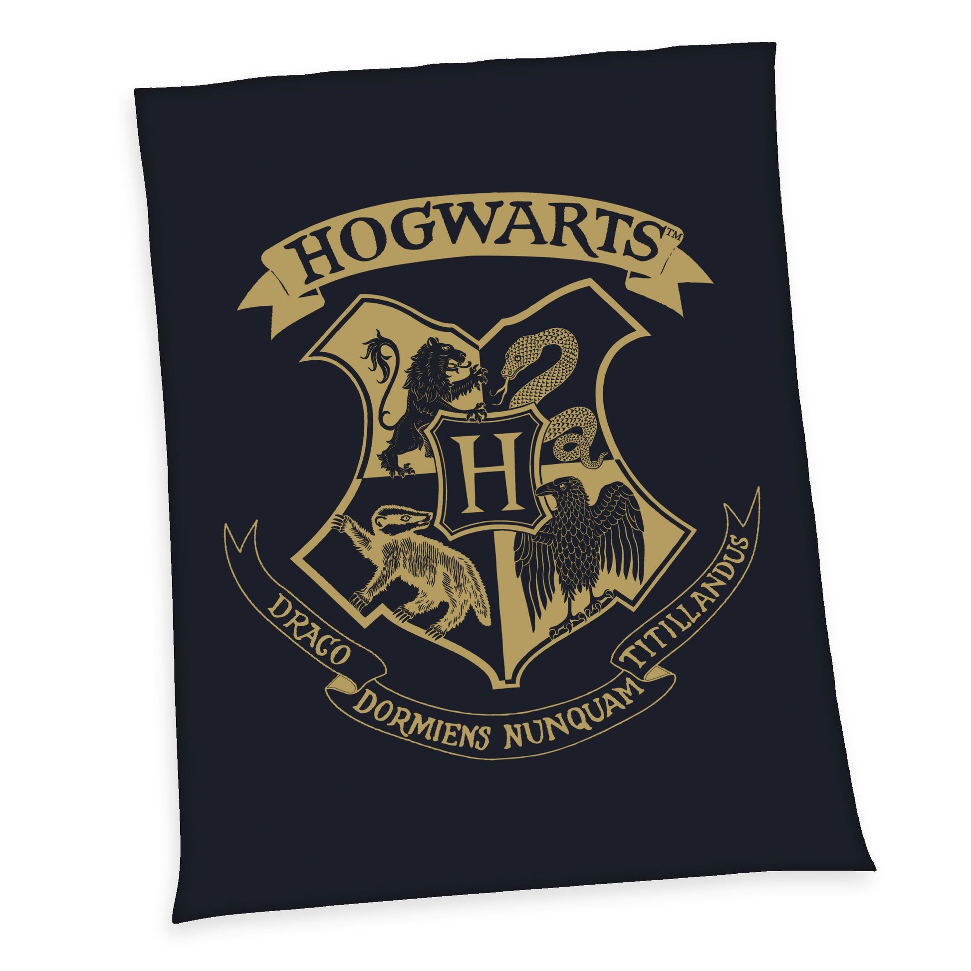 Harry Potter Fleecedecke Hogwarts 150 x 200 cm Image
