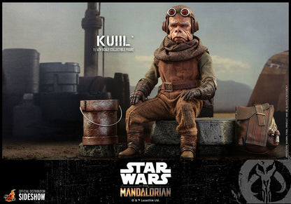 Star Wars The Mandalorian Actionfigur 1/6 Kuiil 25 cm Image 9