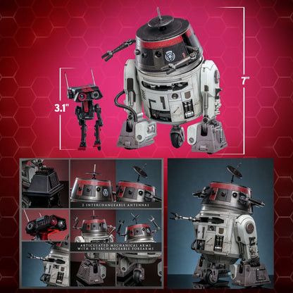 Star Wars Actionfigur Set 1/6 Chopper (C1-10P&trade;) & BD-1&trade; (Imperial Disguise) 18 cm & 8 cm Image 16