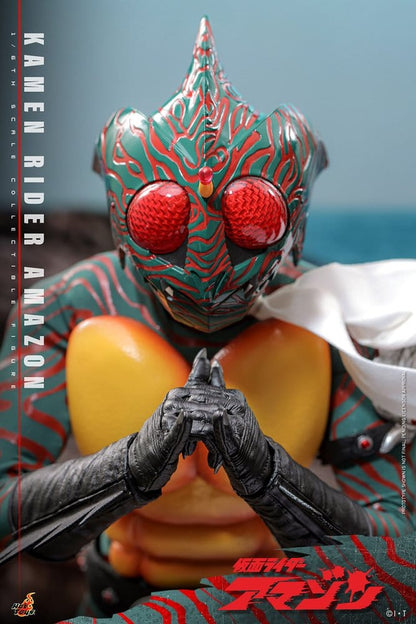 Kamen Rider Amazon 1/6 Amazon (Daisuke Yamamoto) 30 cm Image 6