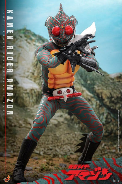 Kamen Rider Amazon 1/6 Amazon (Daisuke Yamamoto) 30 cm Image 13