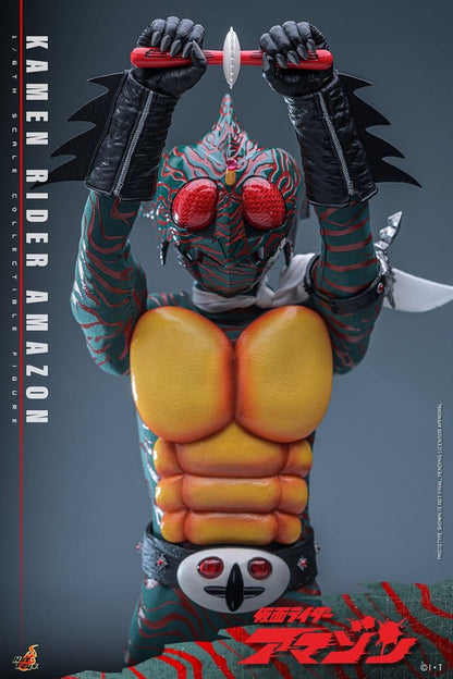 Kamen Rider Amazon 1/6 Amazon (Daisuke Yamamoto) 30 cm Image 19