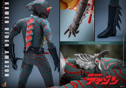 Kamen Rider Amazon 1/6 Amazon (Daisuke Yamamoto) 30 cm Image 20