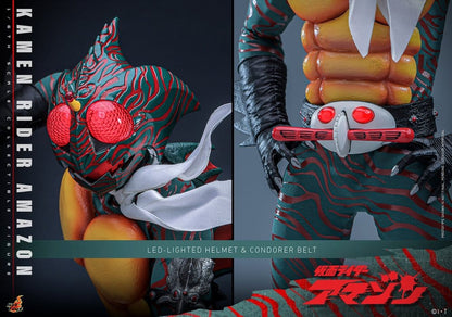 Kamen Rider Amazon 1/6 Amazon (Daisuke Yamamoto) 30 cm Image 22
