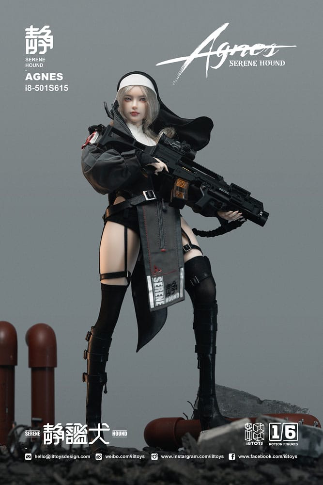 Original Character Actionfigur 1/6 Serene Hound "Agnes" 30 cm Image 4