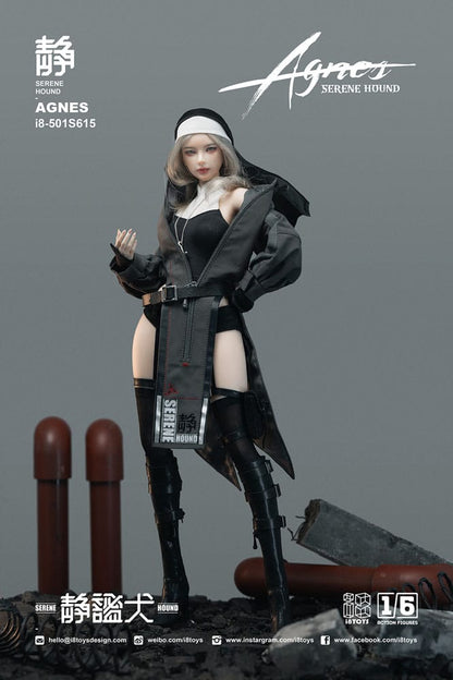 Original Character Actionfigur 1/6 Serene Hound "Agnes" 30 cm Image 5
