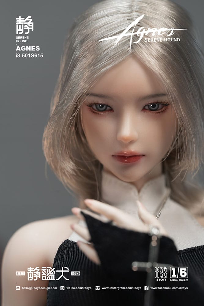 Original Character Actionfigur 1/6 Serene Hound "Agnes" 30 cm Image 9