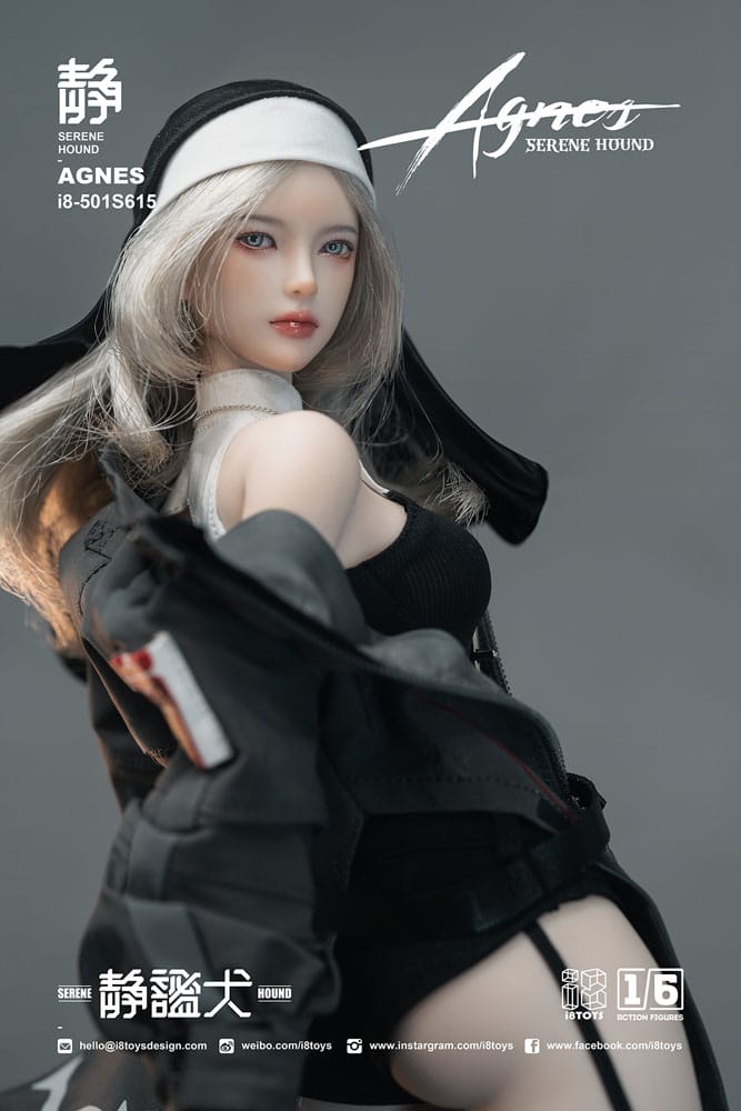 Original Character Actionfigur 1/6 Serene Hound "Agnes" 30 cm Image 10
