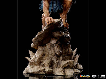 ThunderCats BDS Art Scale Statue 1/10 Vultureman 27 cm Image 11