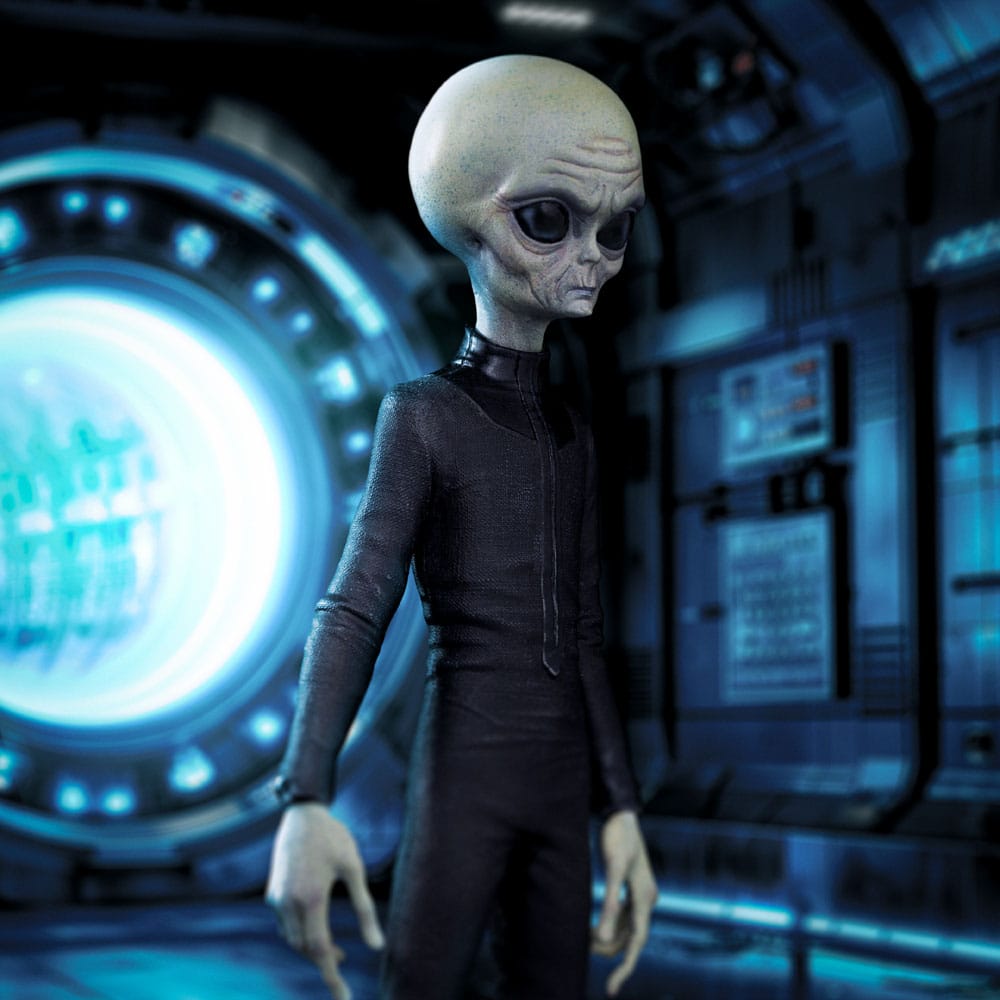 I want to Believe Art Scale Statue 1/10 Alien Grey 21 cm Image 6