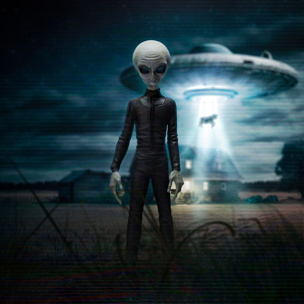 I want to Believe Art Scale Statue 1/10 Alien Grey 21 cm Image 7