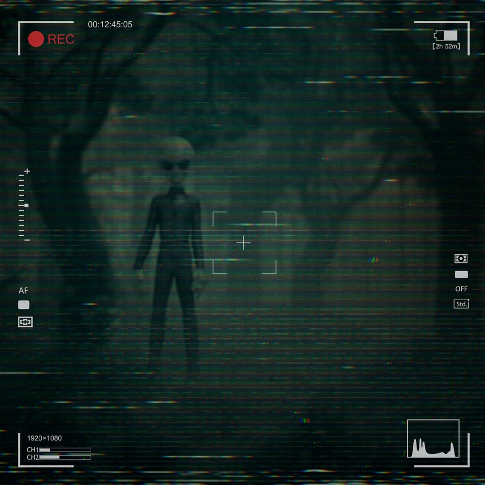 I want to Believe Art Scale Statue 1/10 Alien Grey 21 cm Image 9