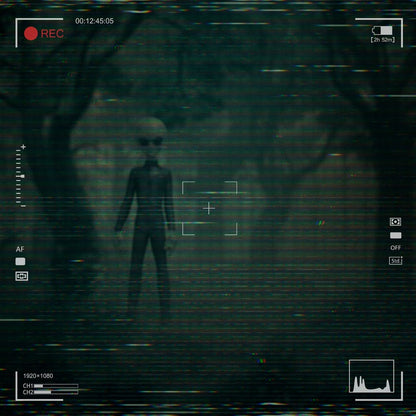 I want to Believe Art Scale Statue 1/10 Alien Grey 21 cm Image 9