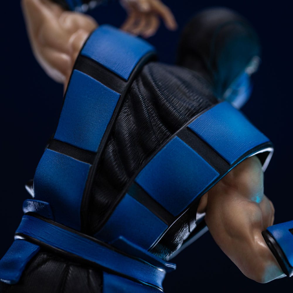 Mortal Kombat Art Scale Statue 1/10 Sub-Zero (Ninjas Collection) heo Exclusice 21 cm Image 3