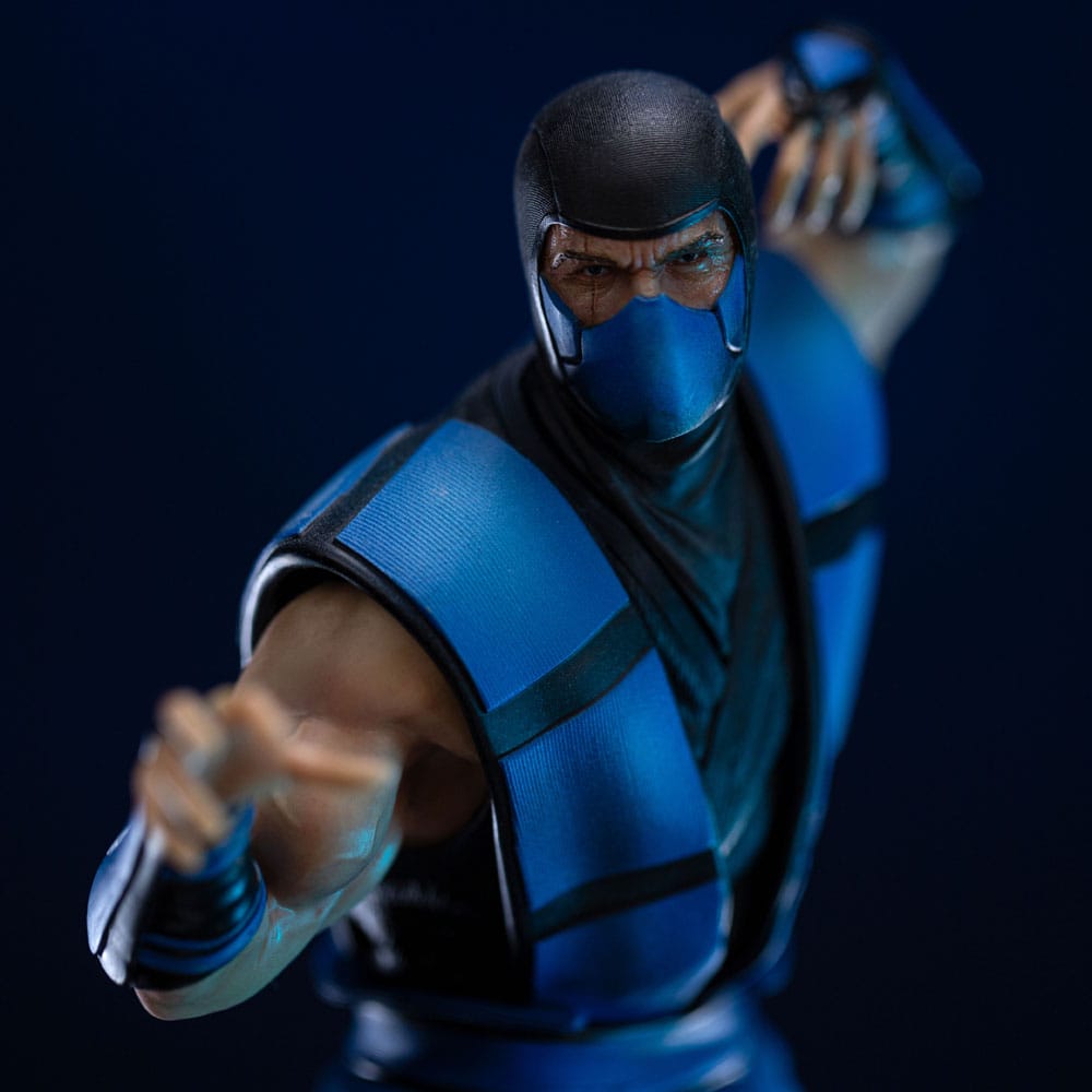 Mortal Kombat Art Scale Statue 1/10 Sub-Zero (Ninjas Collection) heo Exclusice 21 cm Image 11