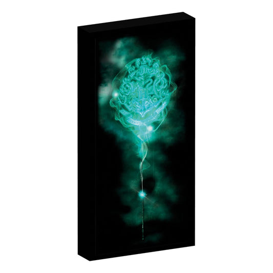 Harry Potter Canvas Poster (With Light) Image 1