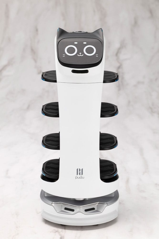 Pudu Robotics Grande Scale Plastic Model Kit BellaBot 19 cm Image 2