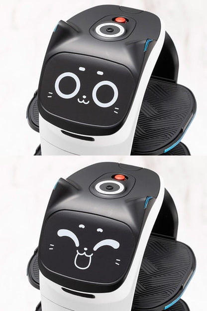 Pudu Robotics Grande Scale Plastic Model Kit BellaBot 19 cm Image 9