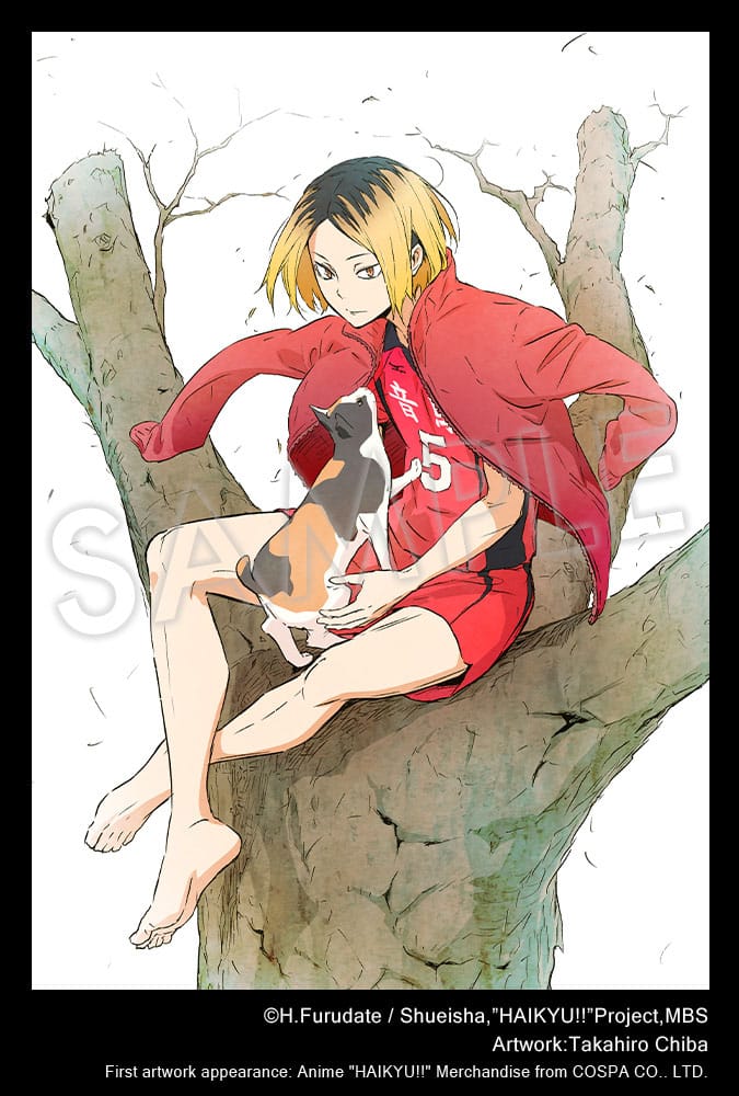 Haikyu!! ARTFXJ Statue 1/8 Kenma Kozume 21 cm Image 10