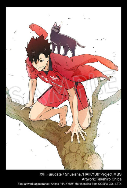 Haikyu!! ARTFXJ Statue 1/8 Tetsuro Kuroo 24 cm Image 11