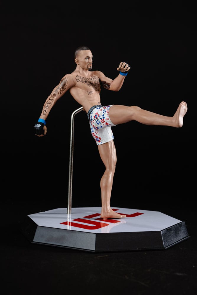 UFC Posed PVC Statue Max Holloway 18 cm Image 9