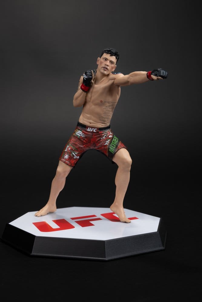UFC Posed PVC Statue Brandon Moreno 16 cm Image 10