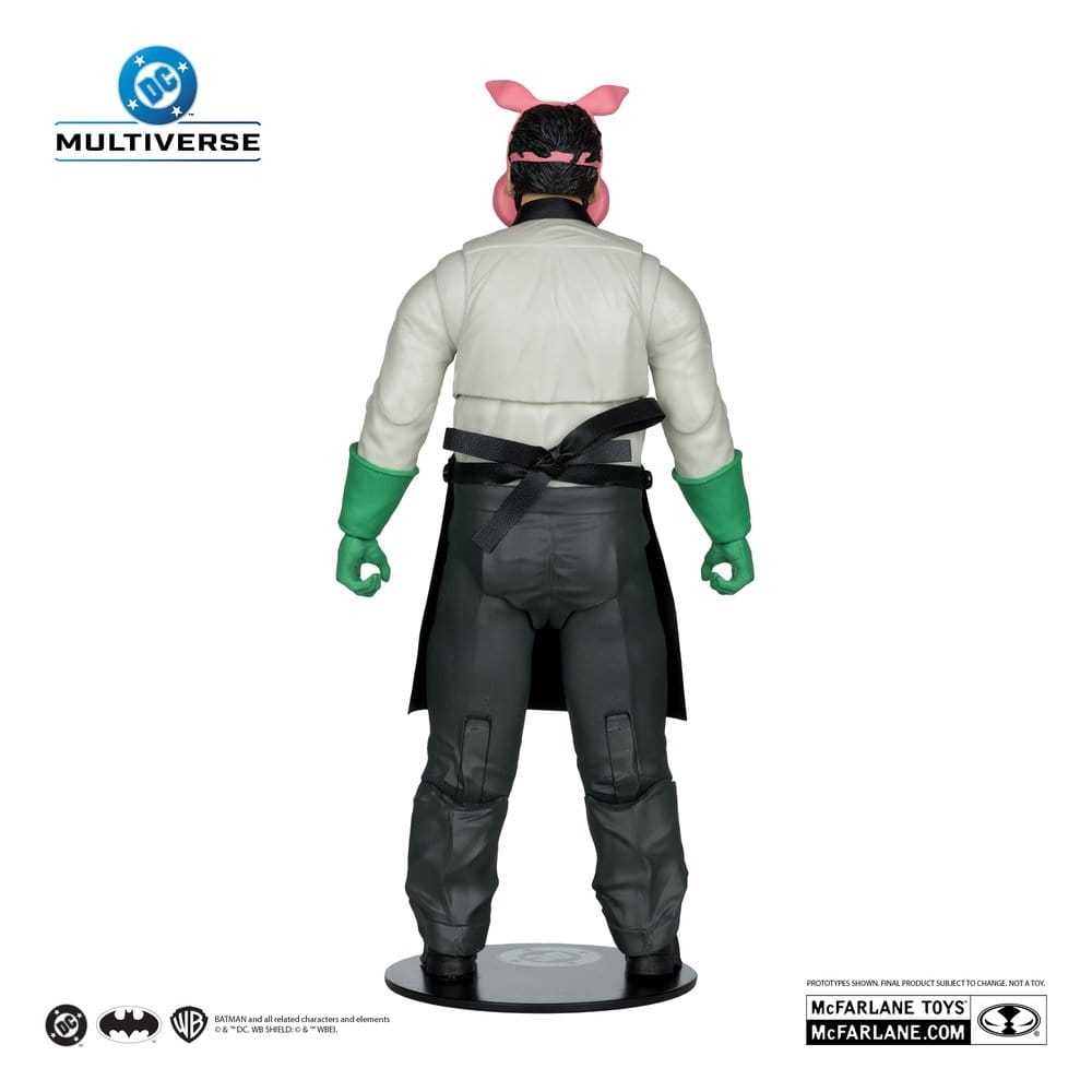 DC Multiverse McFarlane Collector Edition Actionfiguren Wave 13 18 cm Sortiment (6) Image 23