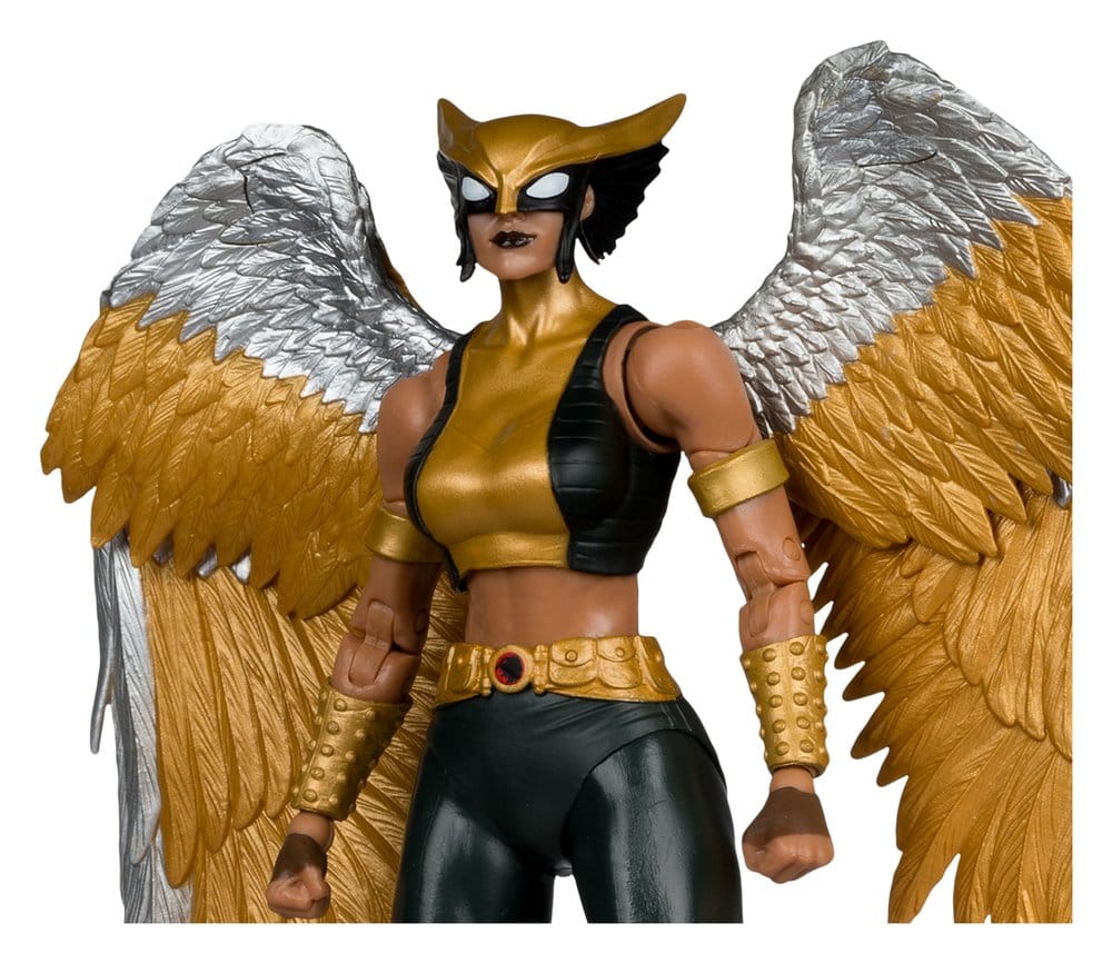 DC Multiverse McFarlane Collector Edition Actionfigur Hawkgirl (Kendra Saunders) 28 cm Image 4