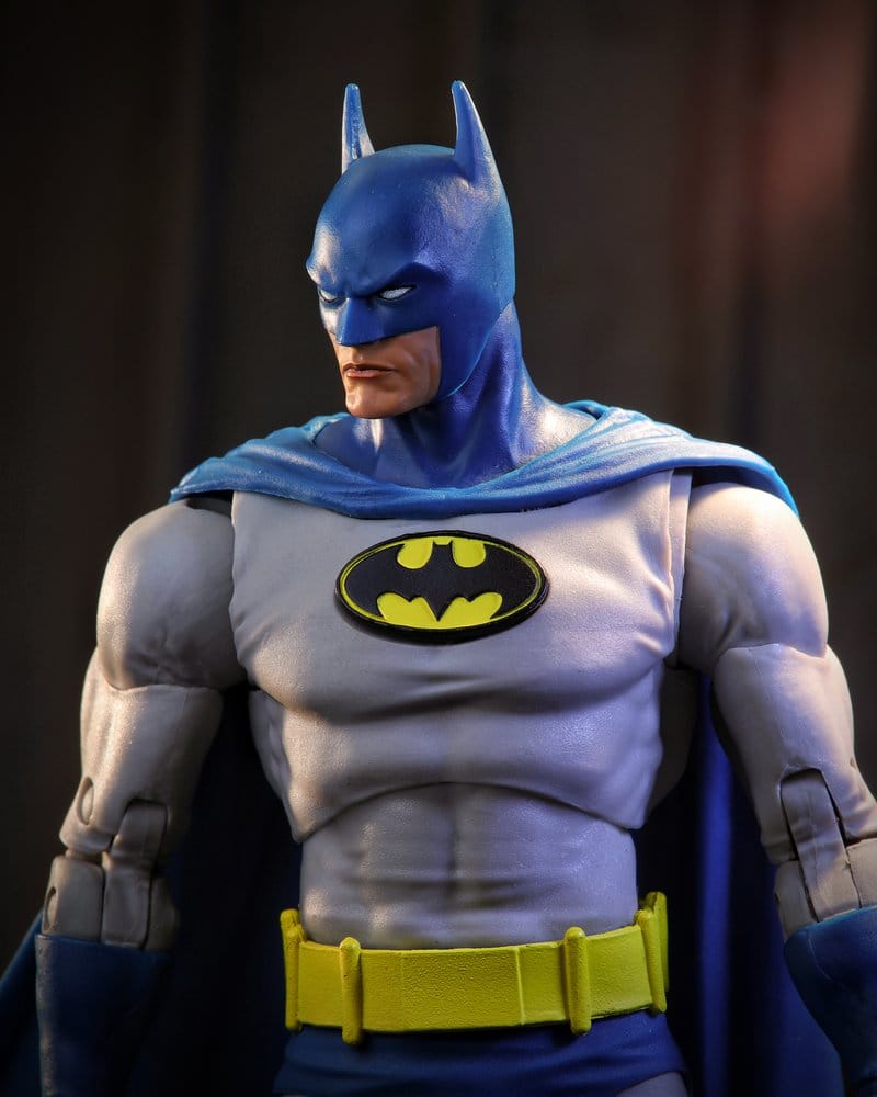 DC Multiverse McFarlane Vault Collection Actionfigur Batman (Knightfall) 18 cm Image 11
