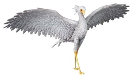 Flow UDF PVC Figur Secretarybird Image 3