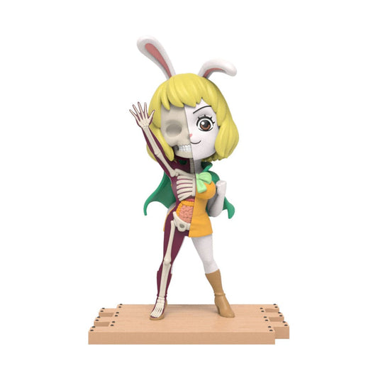 One Piece Blind Box Hidden Dissectibles Series 5 (Ladies ed.) Display (6) Image 2