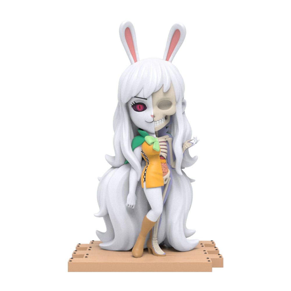 One Piece Blind Box Hidden Dissectibles Series 5 (Ladies ed.) Display (6) Image 3