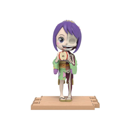One Piece Blind Box Hidden Dissectibles Series 5 (Ladies ed.) Display (6) Image 6