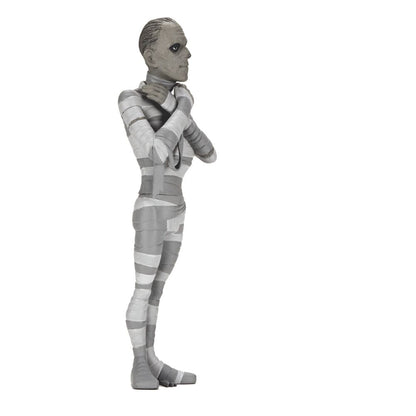 Universal Monsters Toony Terrors Actionfiguren 15 cm Series 10 Silver Screen Edition Sortiment (12) Image 10