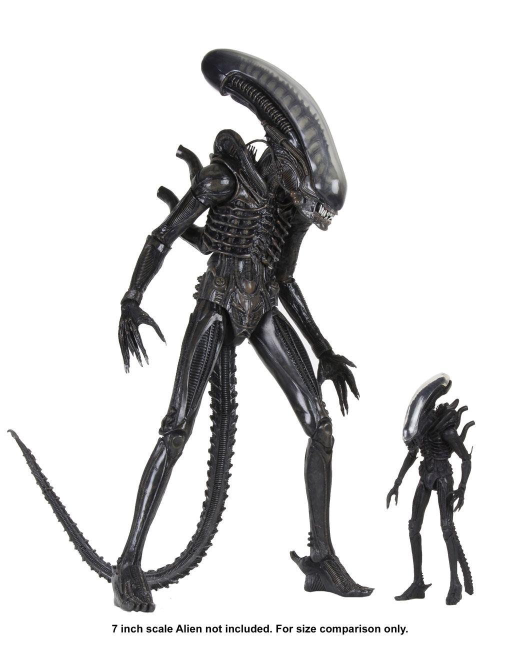 Alien 1979 Actionfigur 1/4 Ultimate 40th Anniversary Big Chap 56 cm Image 4