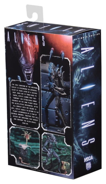 Aliens Ultimate Actionfigur Warrior (1986) Blue 23 cm Image 3