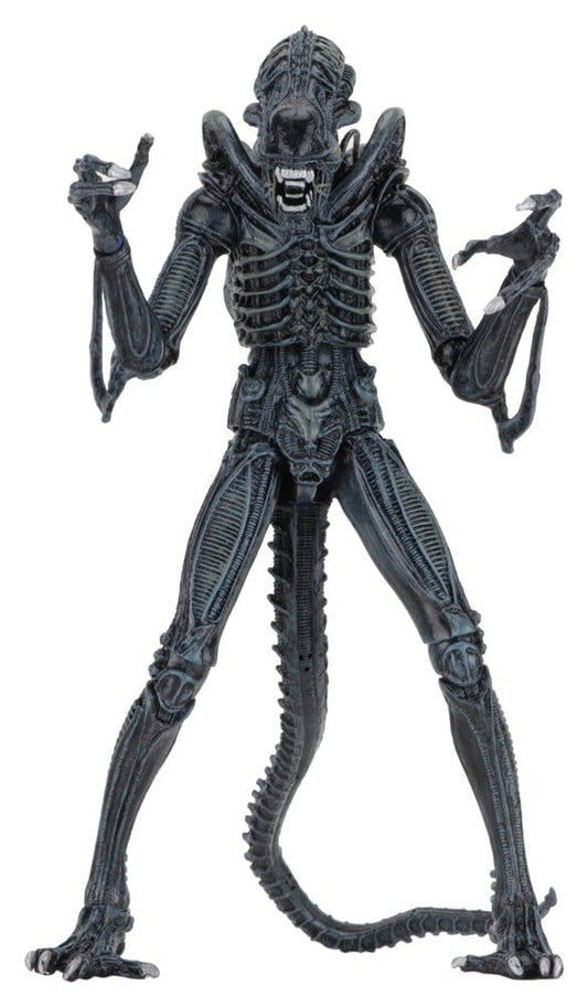 Aliens Ultimate Actionfigur Warrior (1986) Blue 23 cm Image 1